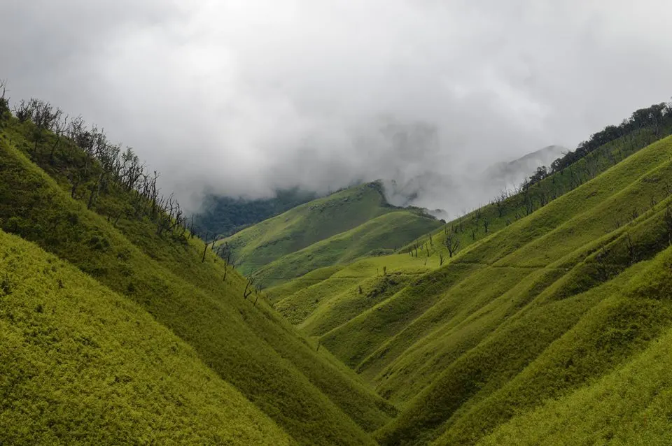 Dzukou Valley, Nagaland