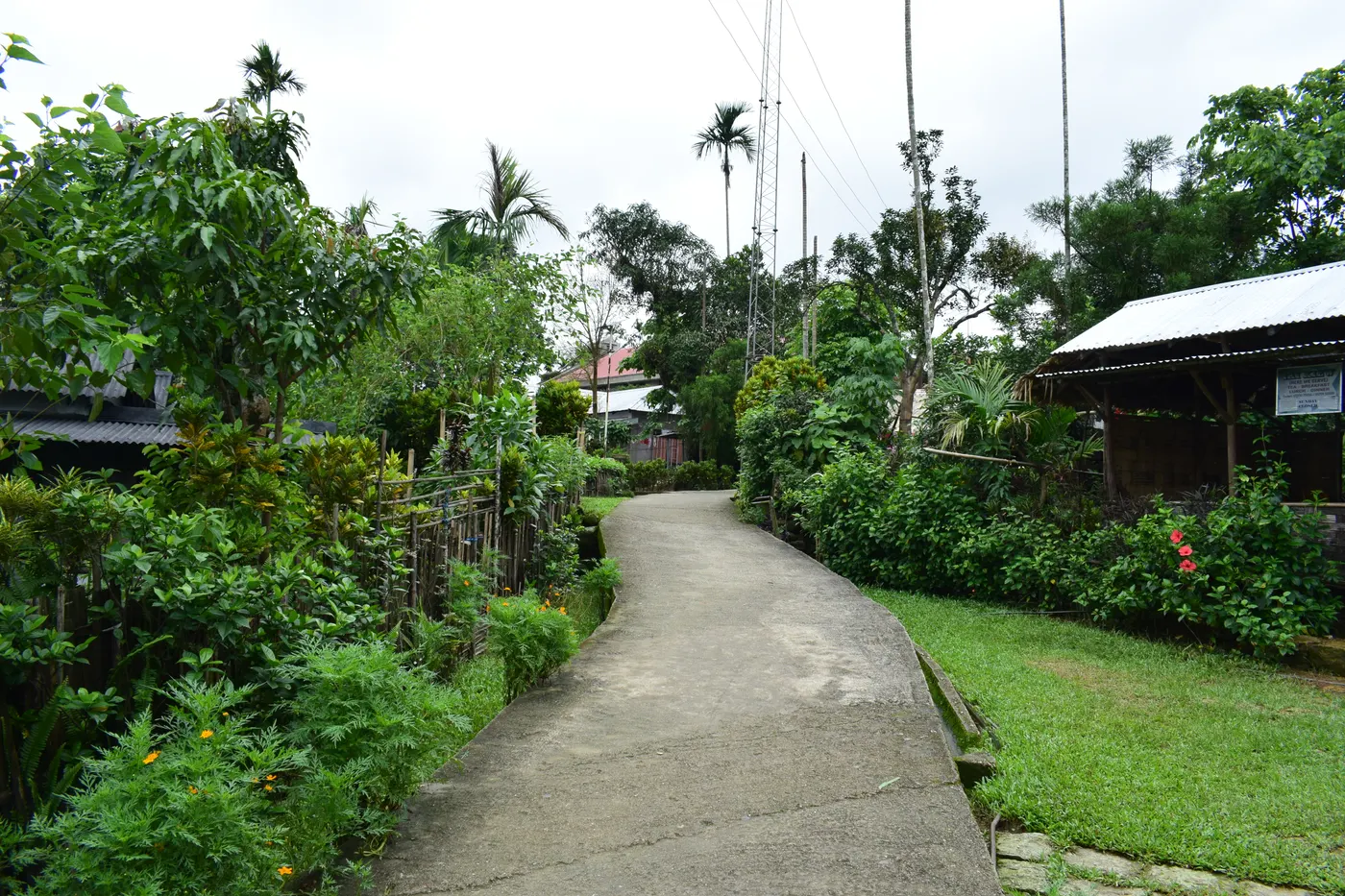 Mawlynnong, the 'cleanest village in Asia'.