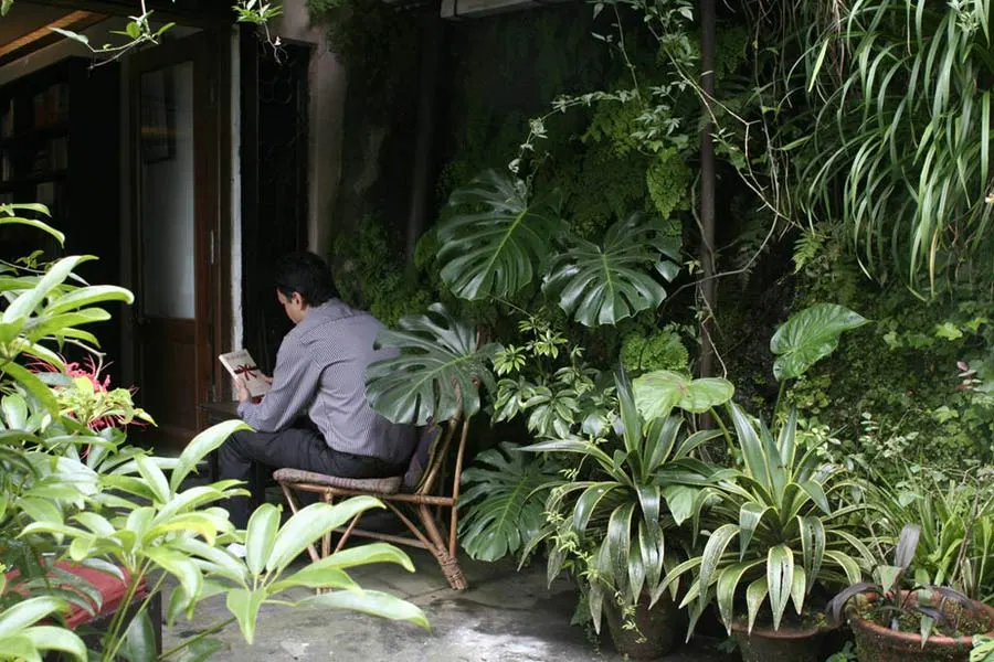 A guest enjoys reading in an ideal reading spot.