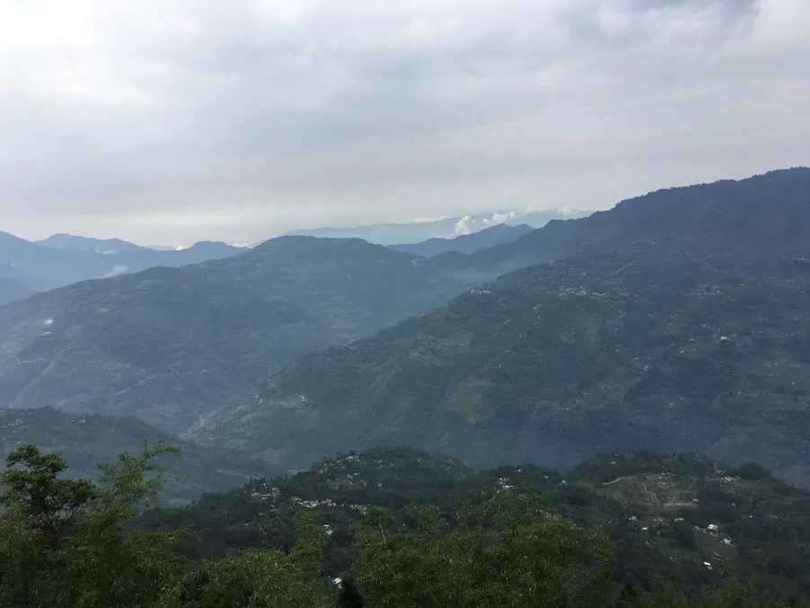 View from the terrace.