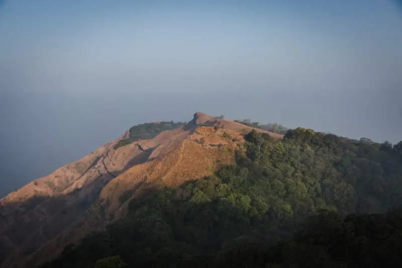 Image Courtesy: Matthew Sailo